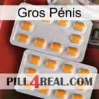 Gros Pénis cialis4